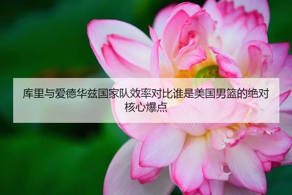 库里与爱德华兹国家队效率对比谁是美国男篮的绝对核心爆点