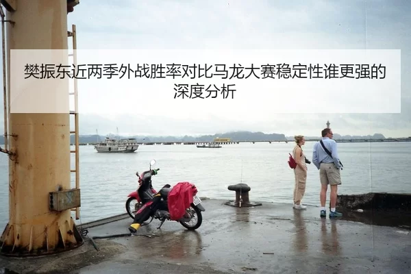 樊振东近两季外战胜率对比马龙大赛稳定性谁更强的深度分析