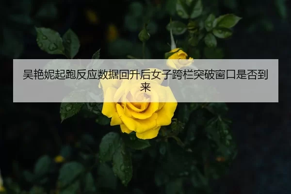 吴艳妮起跑反应数据回升后女子跨栏突破窗口是否到来