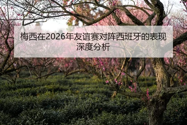 mei-xi-zai-nian-you-yi-sai-dui-zhen-xi-ban-ya-de-biao-xian-shen-du-fen-xi-1-480.jpg