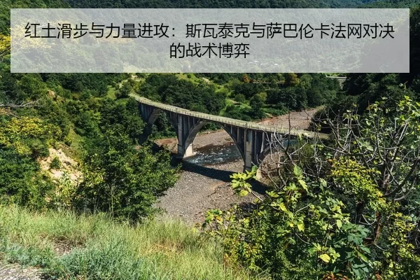 hong-tu-hua-bu-yu-li-liang-jin-gong-si-wa-tai-ke-yu-sa-ba-lun-ka-fa-wang-dui-jue-de-zhan-shu-bo-yi-2-723.jpg