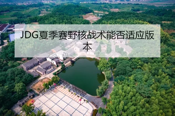 JDG夏季赛野核战术能否适应版本