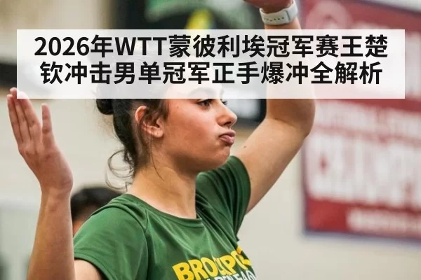 2026年WTT蒙彼利埃冠军赛王楚钦冲击男单冠军正手爆冲全解析
